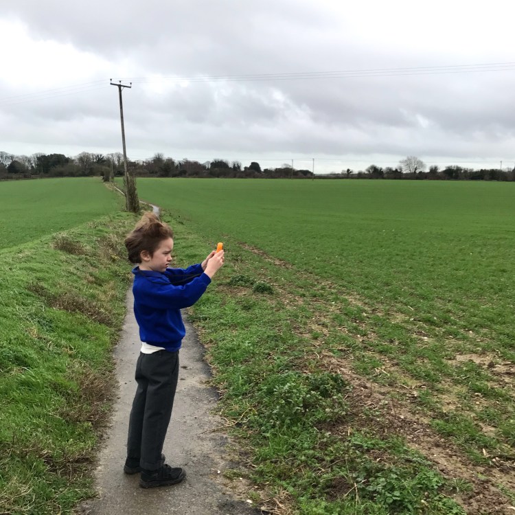 4ABE9133-0FB7-4F30-9299-F8BFBBD7E4BA